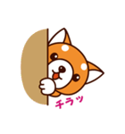 柴犬のしばちゃん（個別スタンプ：35）