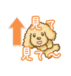 トイプードルさんのメッセージスタンプ（個別スタンプ：28）