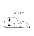 しらこ（個別スタンプ：8）
