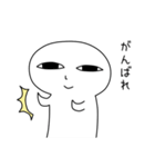 しらこ（個別スタンプ：40）