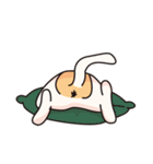 HAPPY MIMI（個別スタンプ：1）
