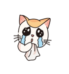 HAPPY MIMI（個別スタンプ：4）