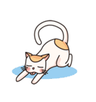 HAPPY MIMI（個別スタンプ：29）