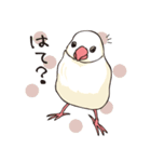 文鳥デイズ（個別スタンプ：25）