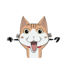 気分屋のねこ ニャロ（個別スタンプ：5）
