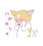 クロネコ×チワワ（個別スタンプ：18）