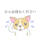 クロネコ×チワワ（個別スタンプ：32）