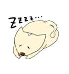いたずらうさぎのわんこ。（個別スタンプ：13）