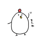 もっちり！ニワタマさん（個別スタンプ：20）