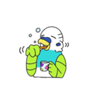 仲良しインコトリオ（個別スタンプ：14）