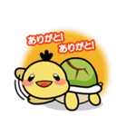 かめのすけ君（個別スタンプ：22）
