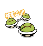 かめのすけ君（個別スタンプ：24）