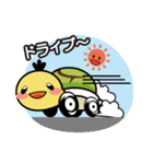 かめのすけ君（個別スタンプ：29）
