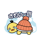 かめのすけ君（個別スタンプ：35）