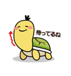 かめのすけ君（個別スタンプ：39）