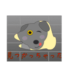 イヌヤマ・リチウム一家の生活（個別スタンプ：10）