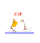 にゃんこの生活（個別スタンプ：11）