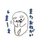 ごわごわなくま〜今すぐ使える日常会話編（個別スタンプ：7）