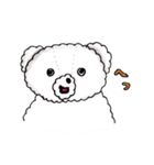 ごわごわなくま〜今すぐ使える日常会話編（個別スタンプ：19）