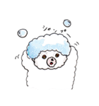 ごわごわなくま〜今すぐ使える日常会話編（個別スタンプ：21）
