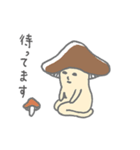 イロイロきのこ1（個別スタンプ：19）