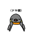 ペンギンは強い（個別スタンプ：34）