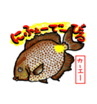 沖縄県産魚スタンプ♪（個別スタンプ：13）