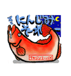 沖縄県産魚スタンプ♪（個別スタンプ：17）