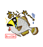 沖縄県産魚スタンプ♪（個別スタンプ：23）