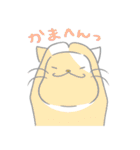 京都弁にゃんこ（個別スタンプ：19）