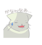 京都弁にゃんこ（個別スタンプ：20）