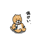 やり取り使い分けスタンプ（柴＆パグ）（個別スタンプ：7）