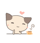 ゾーイシャム子猫（個別スタンプ：38）
