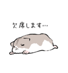 学生ジャンガリアン（個別スタンプ：23）