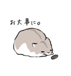 学生ジャンガリアン（個別スタンプ：24）