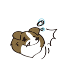 しぇるてぃ日記（個別スタンプ：20）