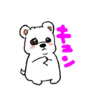 しろいぬしろ（個別スタンプ：31）