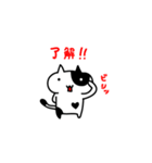 しろくろねこさん（個別スタンプ：38）