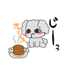 仲良ちトイプー（個別スタンプ：12）