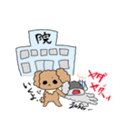 仲良ちトイプー（個別スタンプ：34）