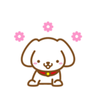 白い子犬のスタンプ（個別スタンプ：1）