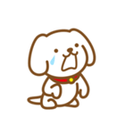 白い子犬のスタンプ（個別スタンプ：27）
