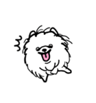 ぼくのモフモフポメラニアン（個別スタンプ：25）