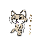 チワノさん（個別スタンプ：7）