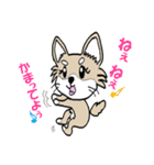 チワノさん（個別スタンプ：16）