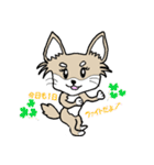 チワノさん（個別スタンプ：18）