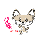 チワノさん（個別スタンプ：19）