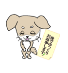 チワノさん（個別スタンプ：31）