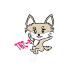 チワノさん（個別スタンプ：37）