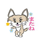 チワノさん（個別スタンプ：40）